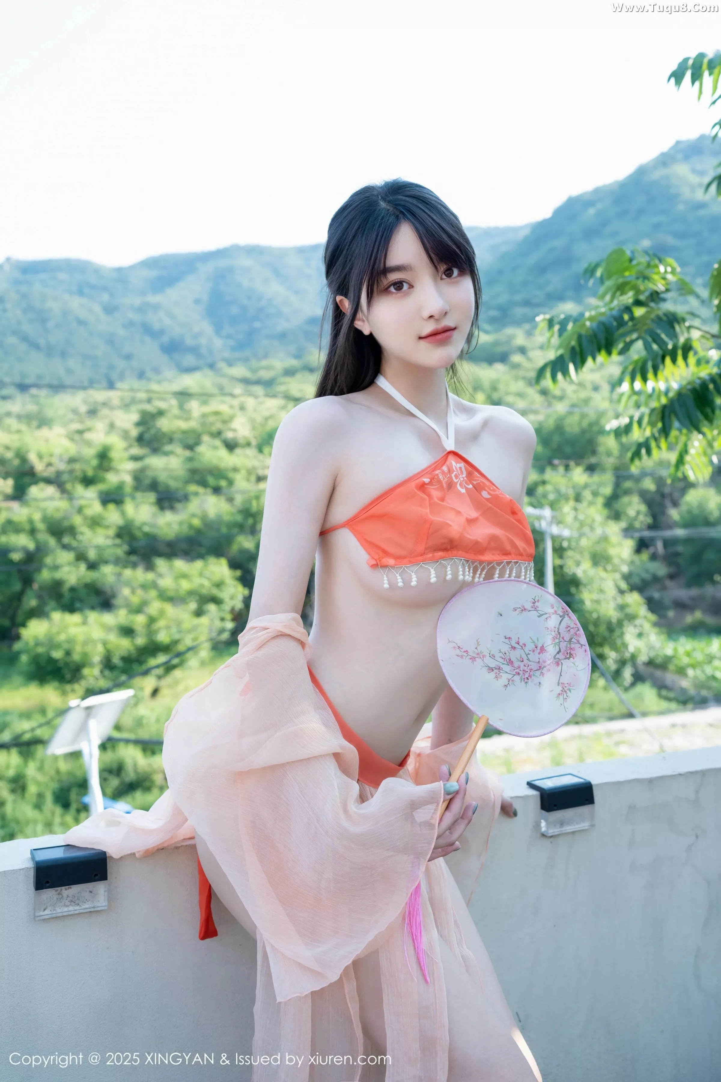 白露写真
