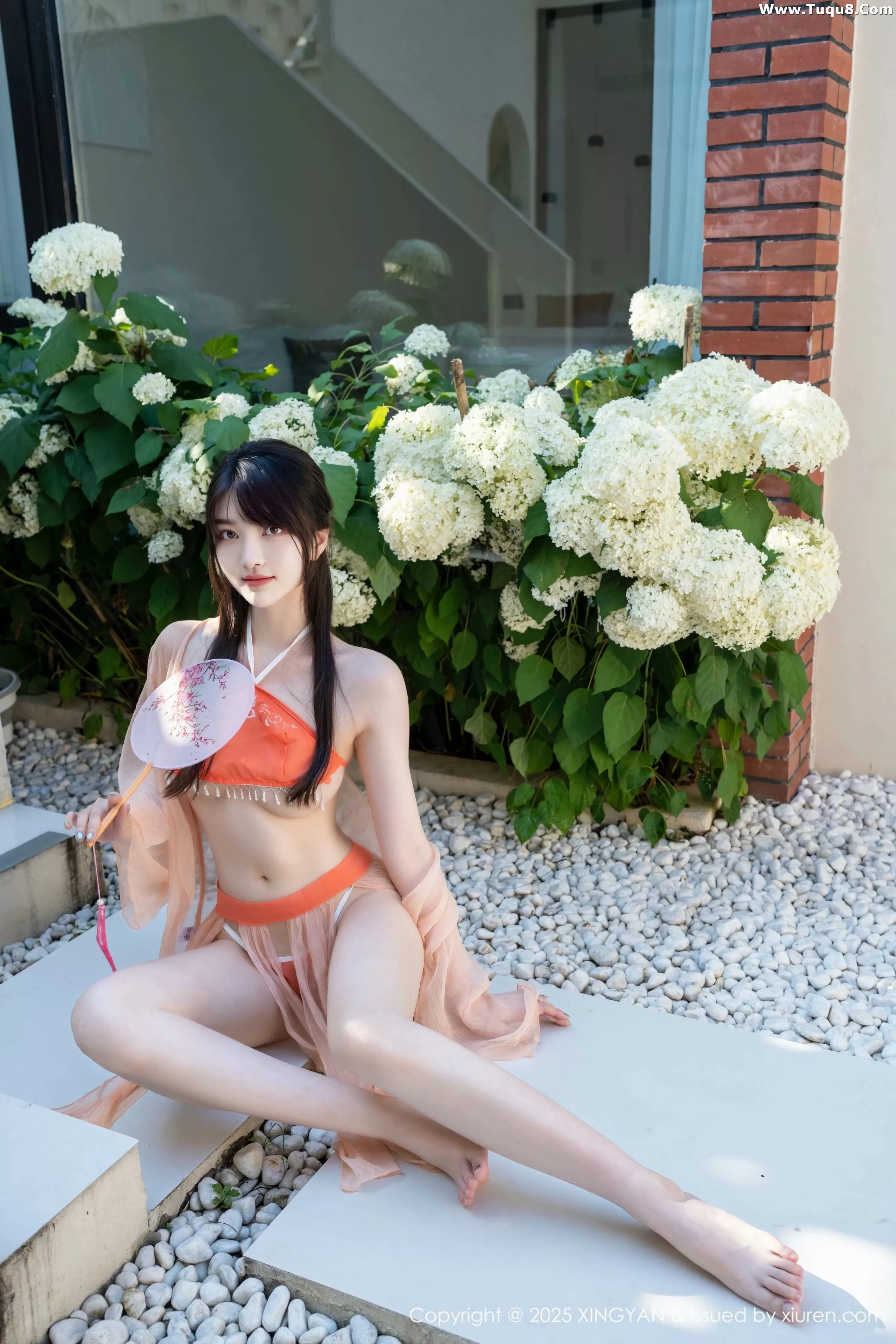 白露写真