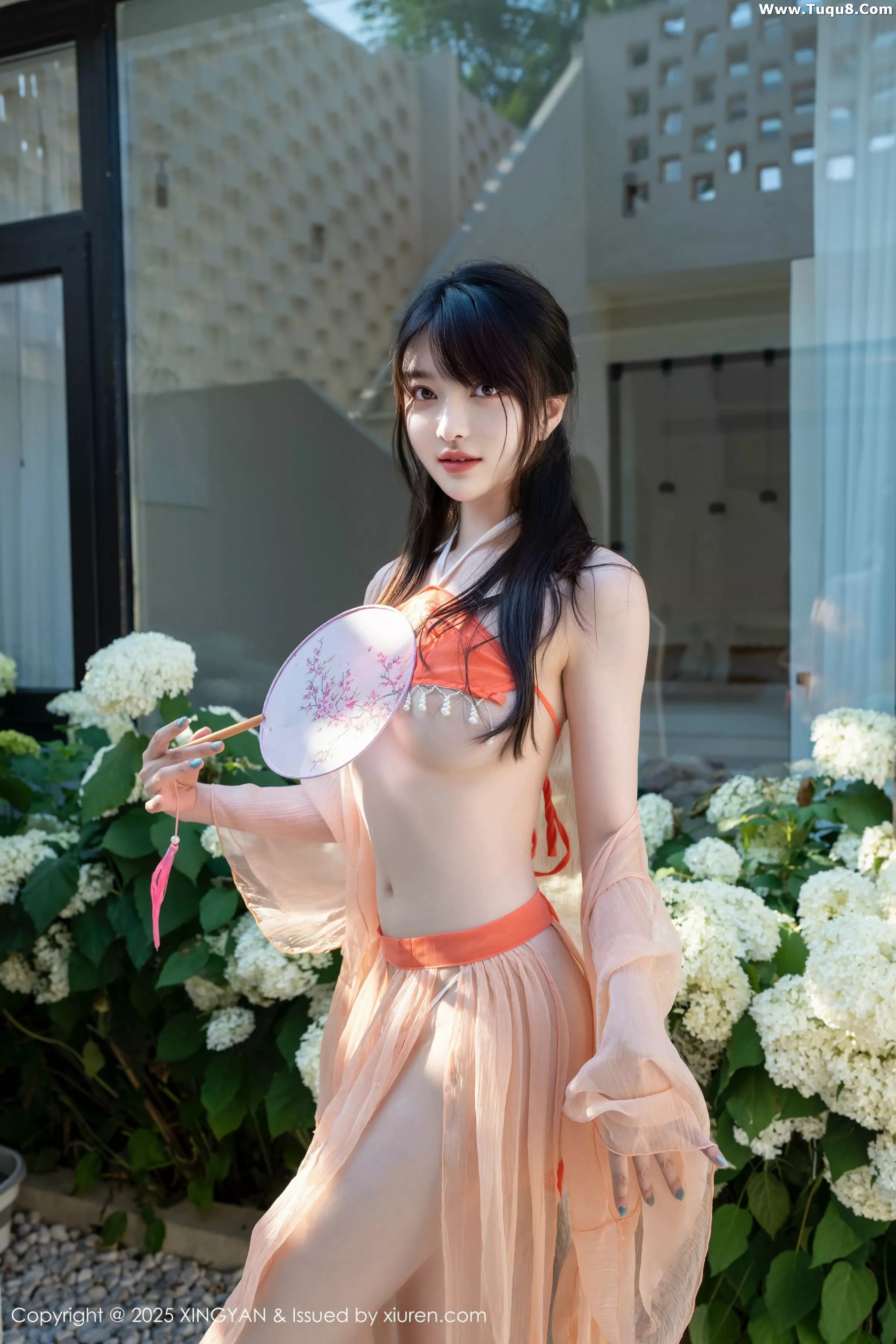 白露写真