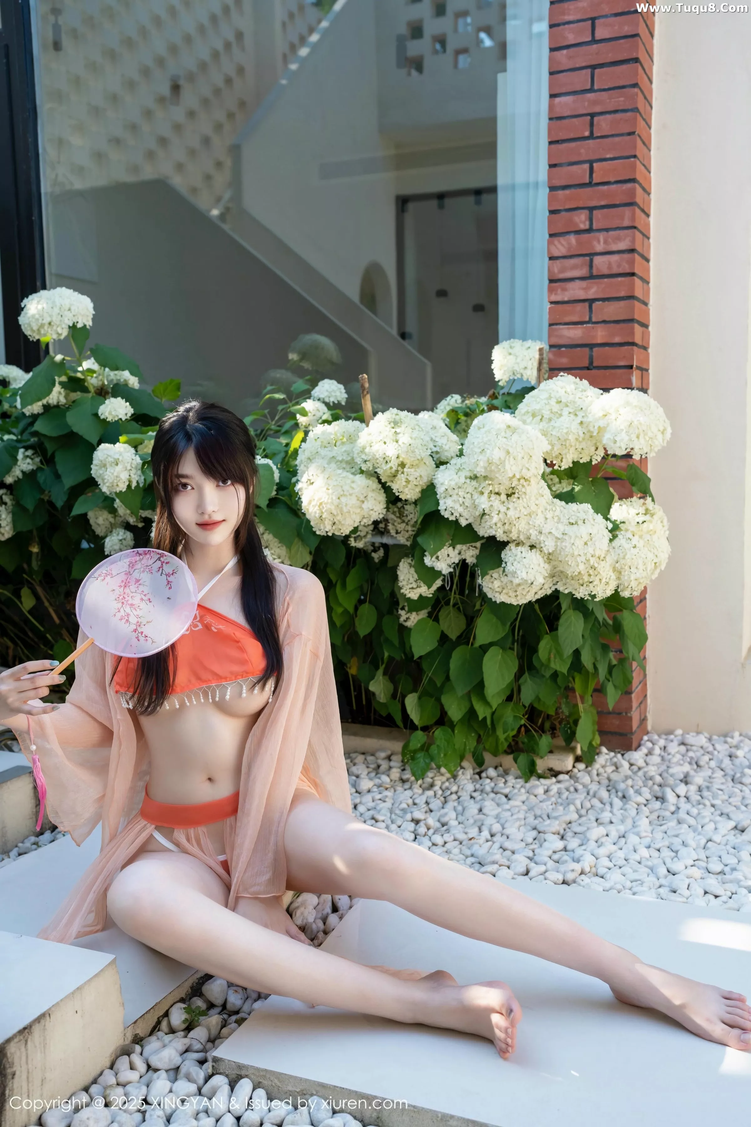 白露写真