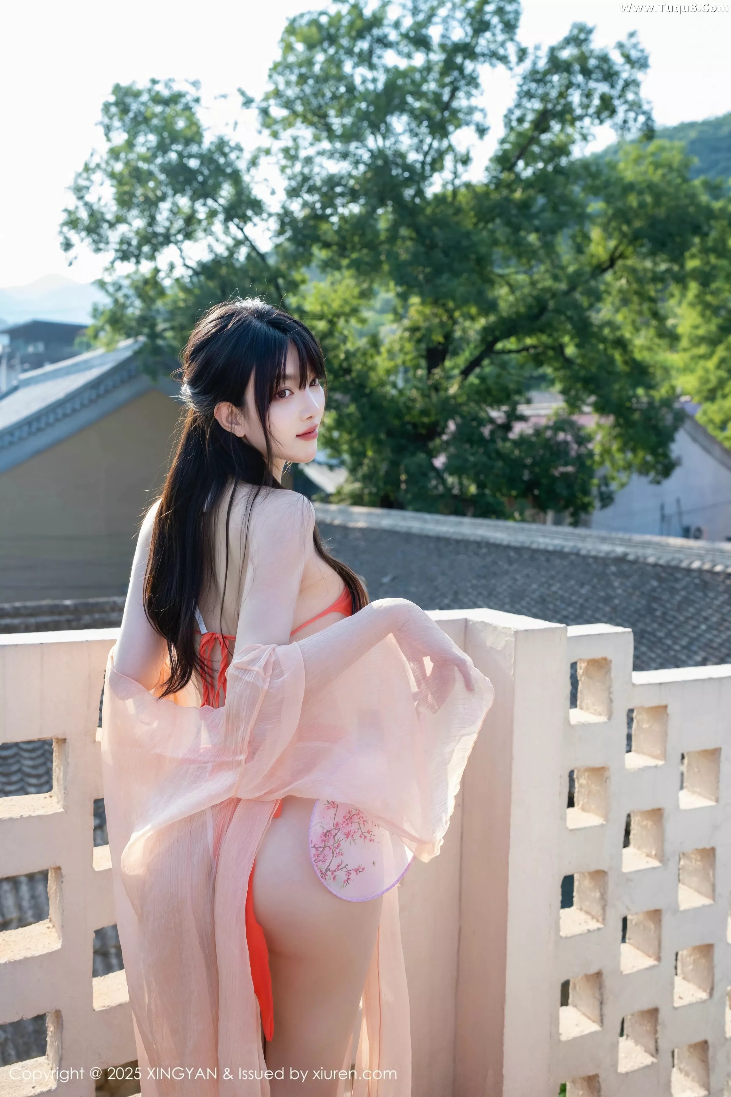白露写真